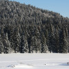 Bärenhof, Ausblick, Urlaubsresort für Herr und Hund