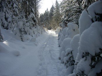 Winterbild