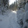 Winterbild