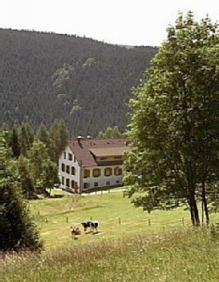 Sommeransicht vom Wanderweg aus
