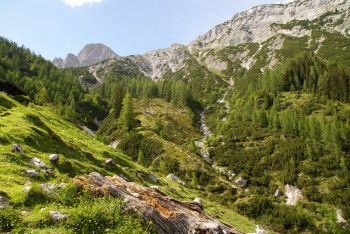 Lettlkaser