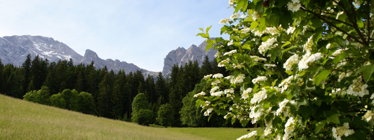 Frühling