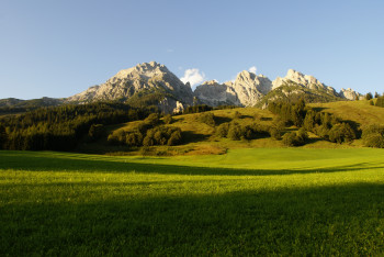 Birnhorn