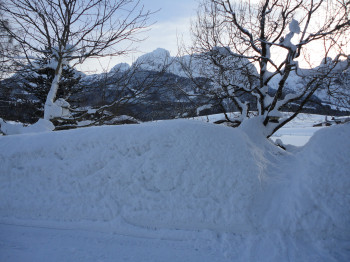 Ferienhaus Ronacher Bergblick
