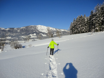 Schneeschuhwandern