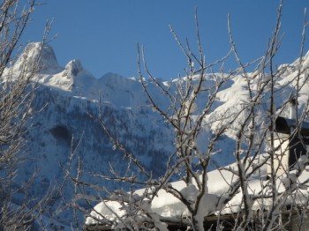Wohnungsblick Ferienwohnung Ronacher
