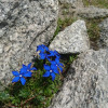 Wandern, Waken, Klettern, Rad fahren, Skifahren, M;ountainbiken, Eislaufen, Schlitten fahren, Langlaufen.......