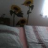 Apartment A Schlafzimmer Doppelbett