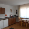 Wohnküche Wohnung Arber