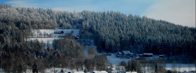 Blick vom Balkon