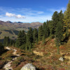 Farbenfroher Herbst