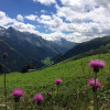 Sommer im Tuxertal