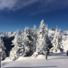 Winter in Tux
