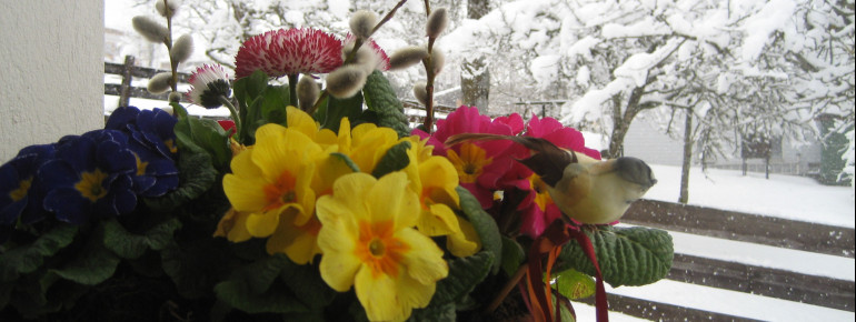 Winterbeginn