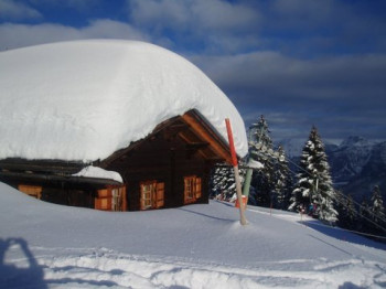 Herrlich verschneit