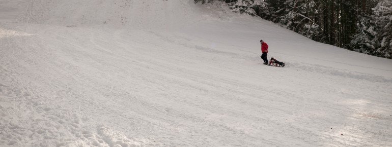 Rodelspaß im Winter