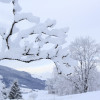 Blick zum Asitz