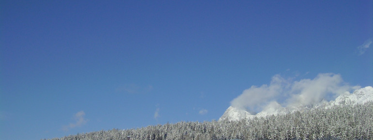 Winterwunderland
