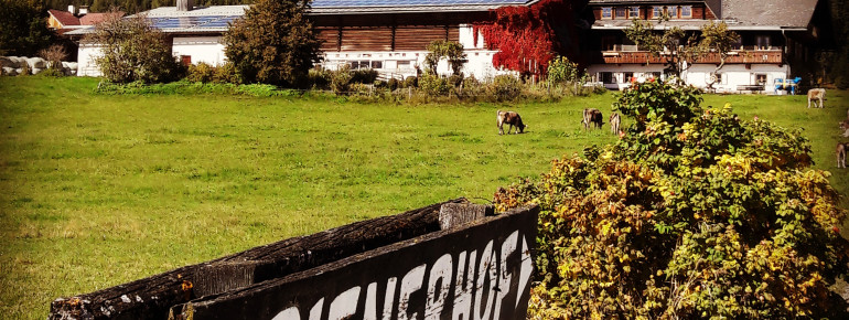 Ziel Frienerhof