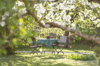 Garten