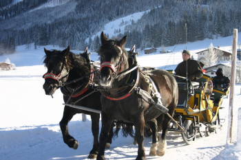 Pferdeschlittenfahrt