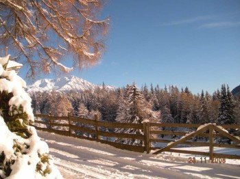 Zedlacher Paradies