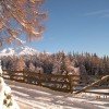 Zedlacher Paradies