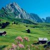 Einzigartige Berglandschaft im Sommer!