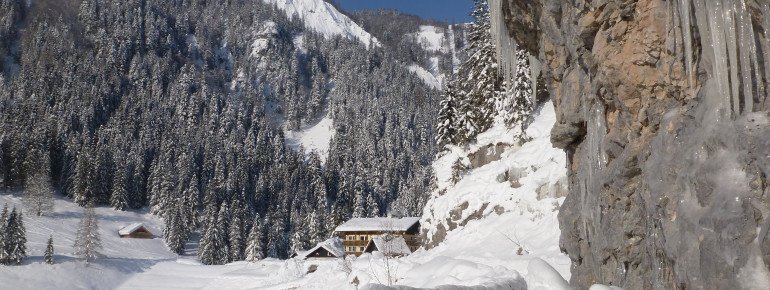 Gasthof Gosausee