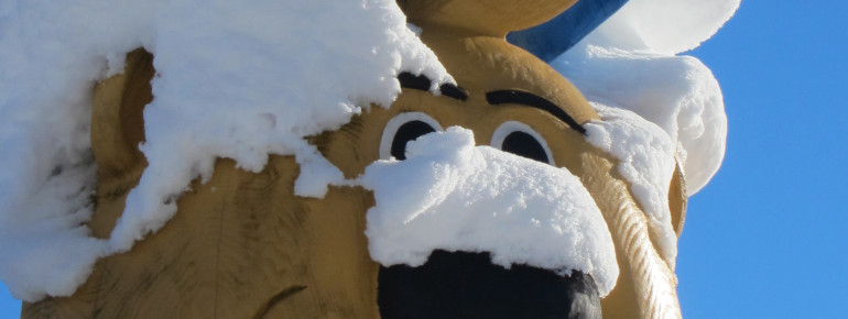 Bruno Bär