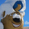 Bruno Bär