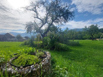 Unser Kräuter- und Obstgarten