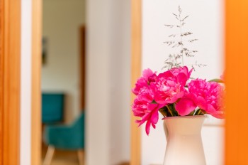 Appartement Planai