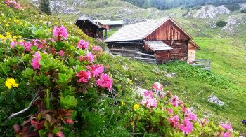 Unsere Alm