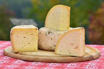 Käse