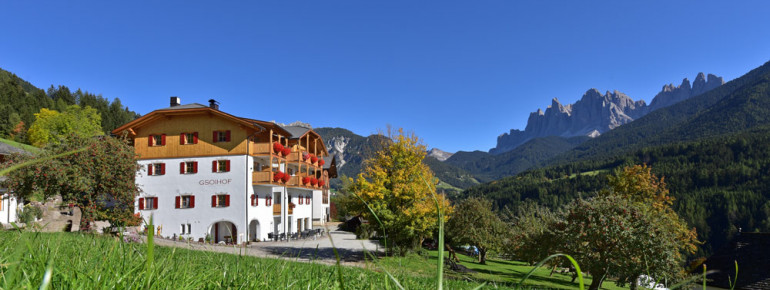 Hotel Gsoihof