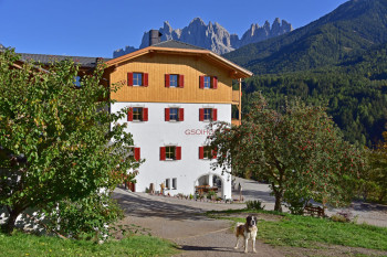 Hotel Gsoihof