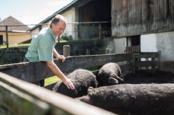 Eigene Landwirtschaft