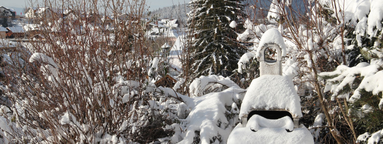 Der verschneite Garten