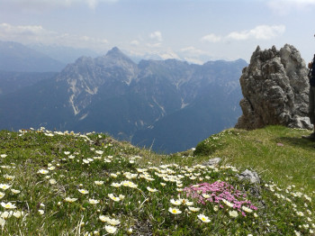 Frühling in der Schlick 2000
