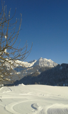 Ausblick aufs Nebelhorn