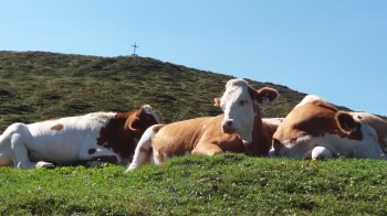 Wanderung