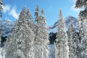 Lech