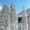 Lech