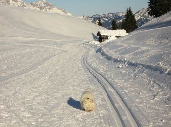 Winterimpressionen