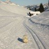 Winterimpressionen
