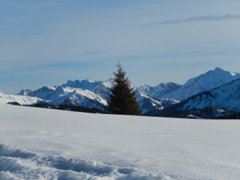 Panoramablick