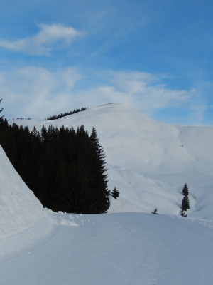 Riedberger Horn