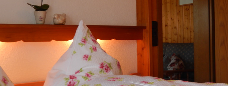 Blick ins Wohnzimmer