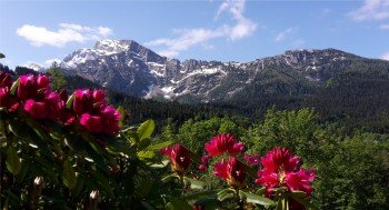 Südblick mit Hohem Göll und Kehlstein